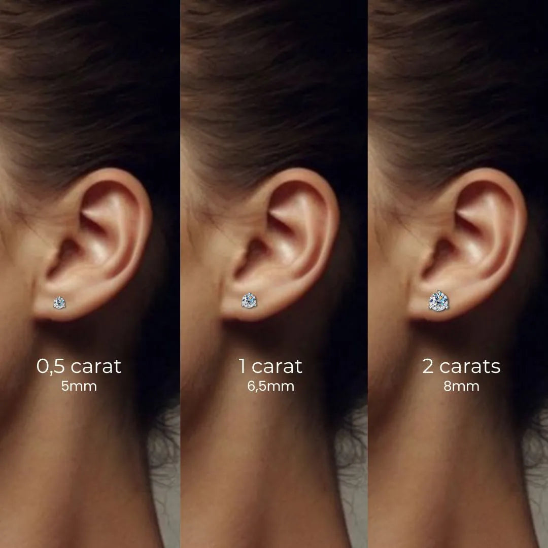 Clous d'oreilles : EVIDENCE